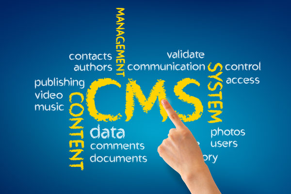 Content Management Solutions | Every Web Works